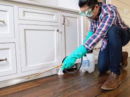 Best Real Estate Pest Inspections  in Atkinson, IL